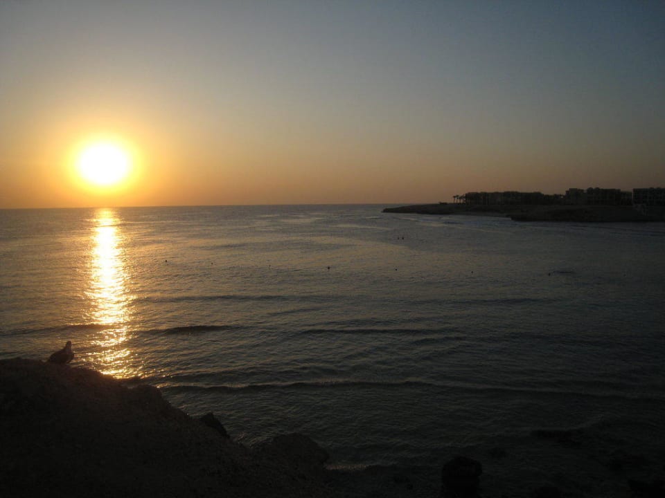 Sonnenaufgang Steigenberger Coraya Beach - Adults only