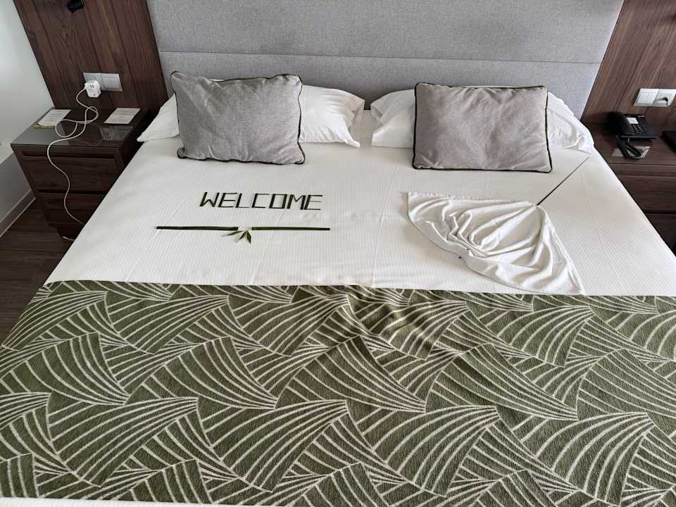 Zimmer Hotel Riu Palace Maldivas