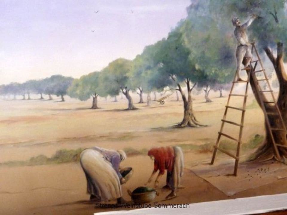Tolle Wandbilder in der Bar Vincci Safira Palms