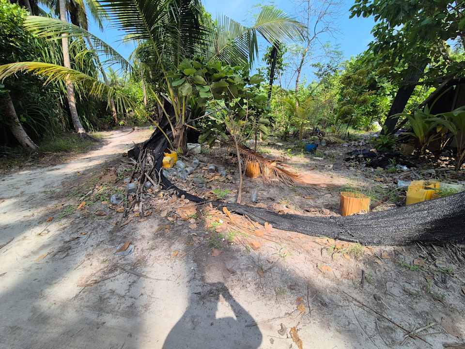 Sonstiges Dhiguveli Maldives