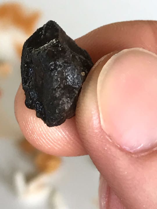 Restaurant Grand Palladium Hotels - Palace, Bavaro Suites & Punta Cana