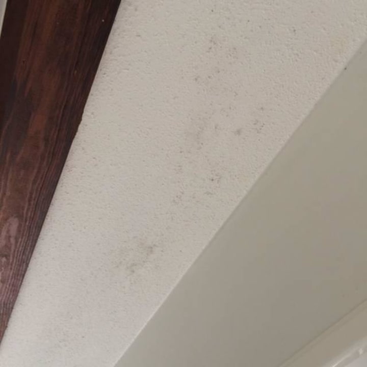 Das Exclusiv Haus ! Sunparks Oostduinkerke aan zee