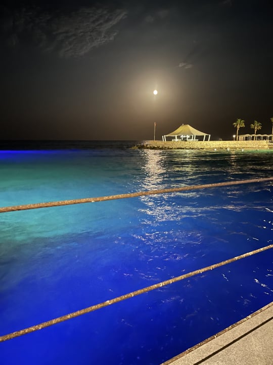 Pool Pickalbatros Citadel Resort