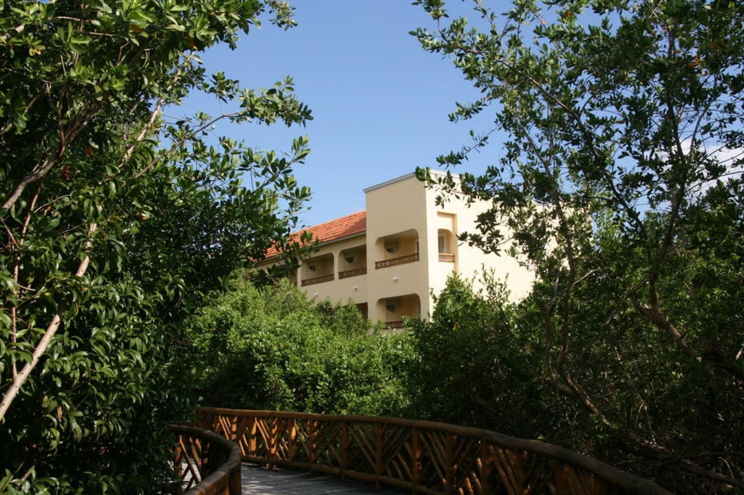 Dicht an dicht und sehr laut Catalonia Royal Tulum Beach & Spa Resort - Adults only