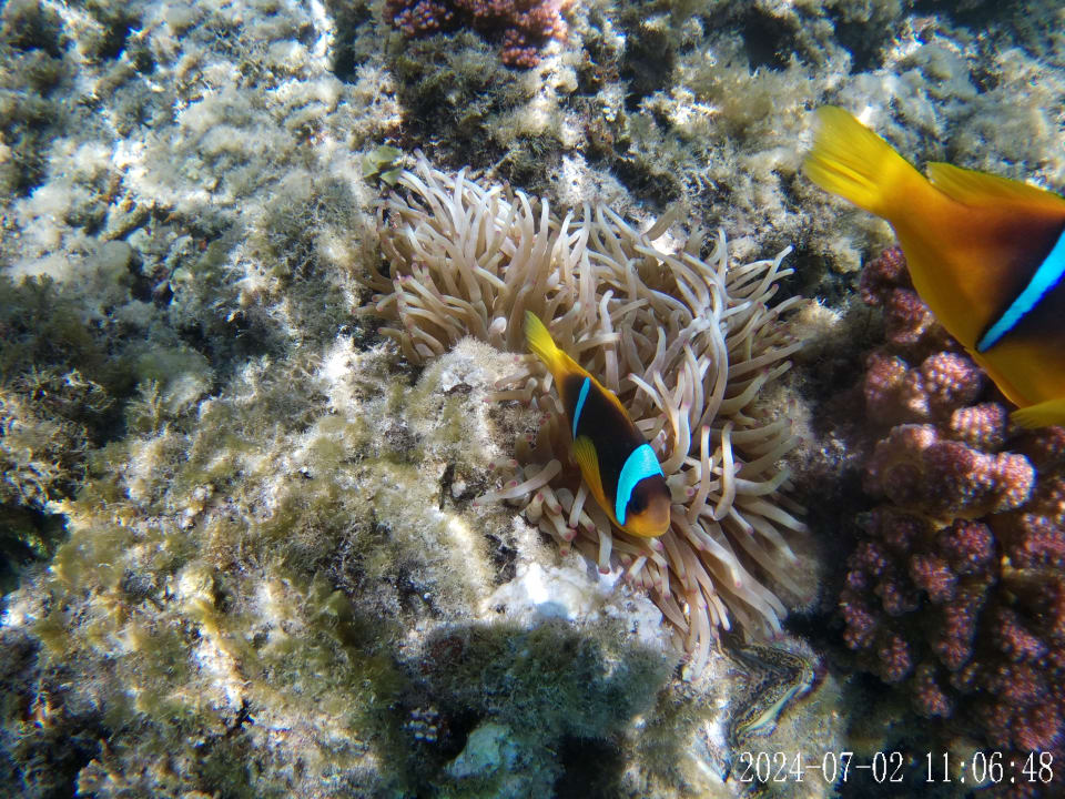 Sport & Freizeit Cleopatra Luxury Resort Makadi Bay