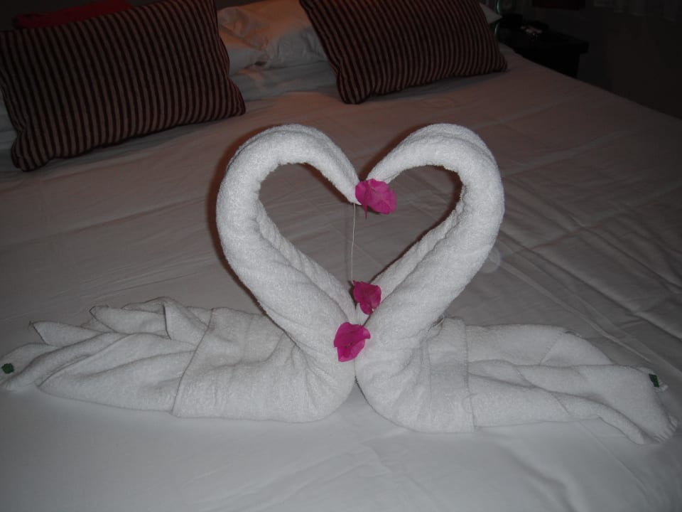 Tierisch Jaz Makadi Oasis Resort