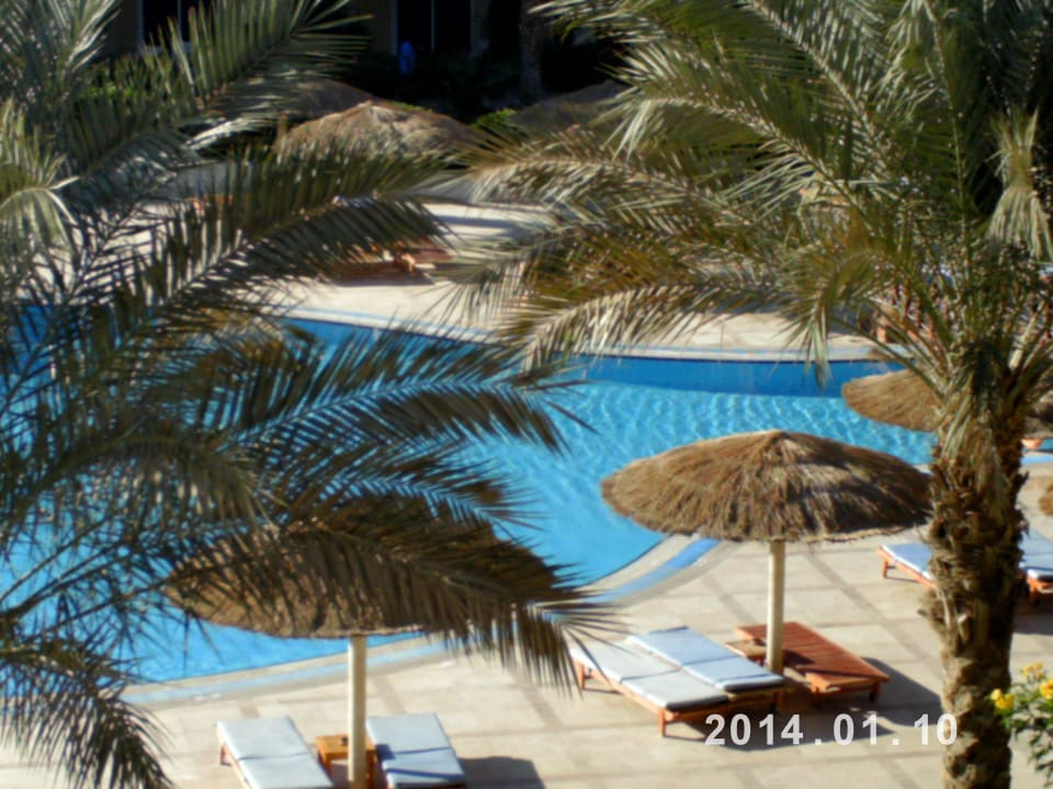Hotel Governor Amwaj Abu Soma Amwaj Beach Club Abu Soma Resort