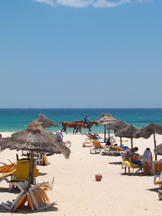 Strand Club Salammbô Hammamet