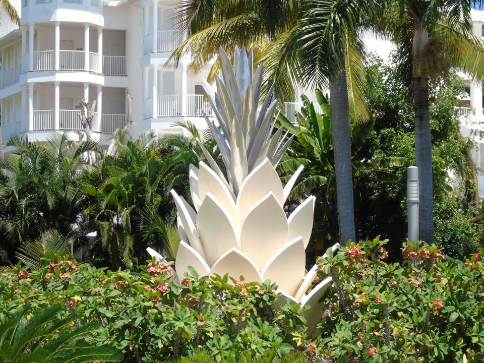 Eingang Hotel Riu Palace Macao - Adults only