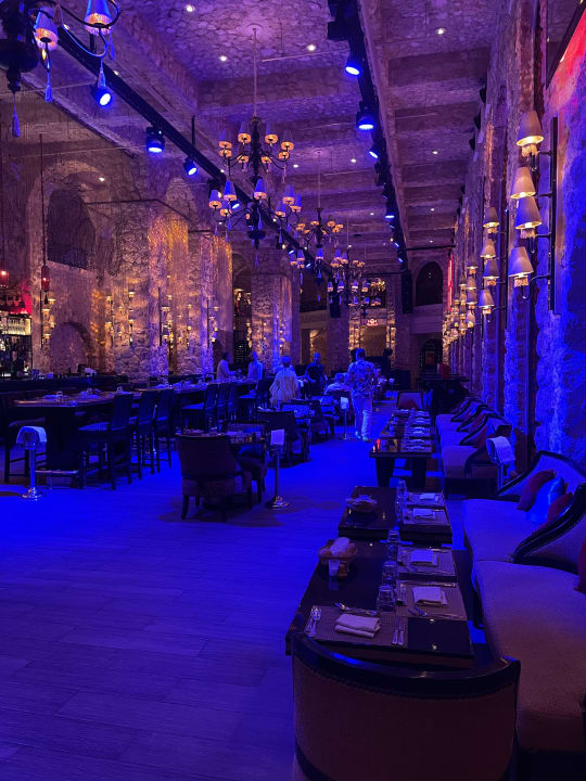 Gastro Pickalbatros Citadel Resort