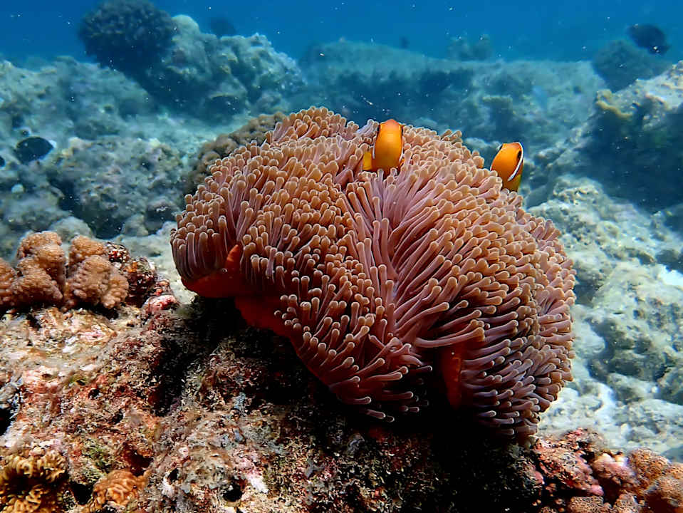 Sonstiges Thulhagiri Island Resort