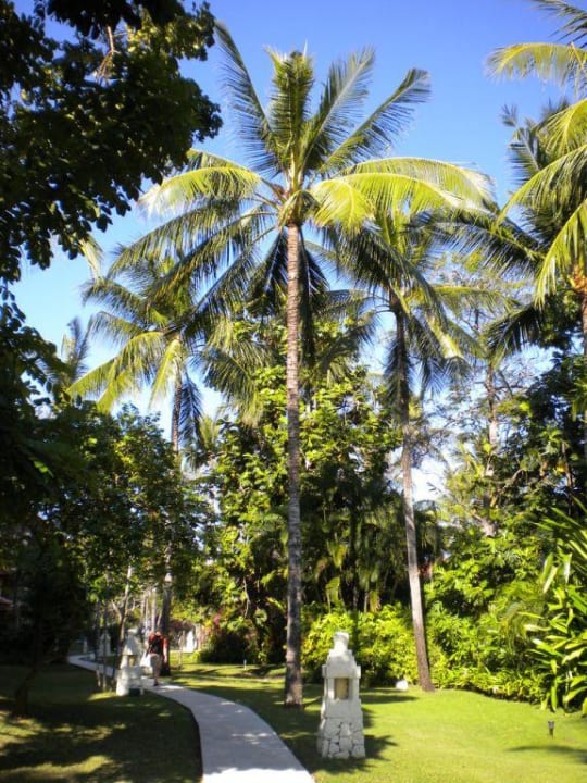 Weg im Garten The Westin Resort Nusa Dua, Bali