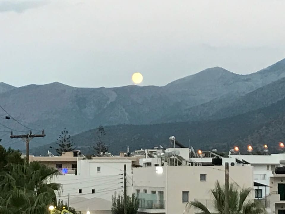 Ausblick Cactus Royal