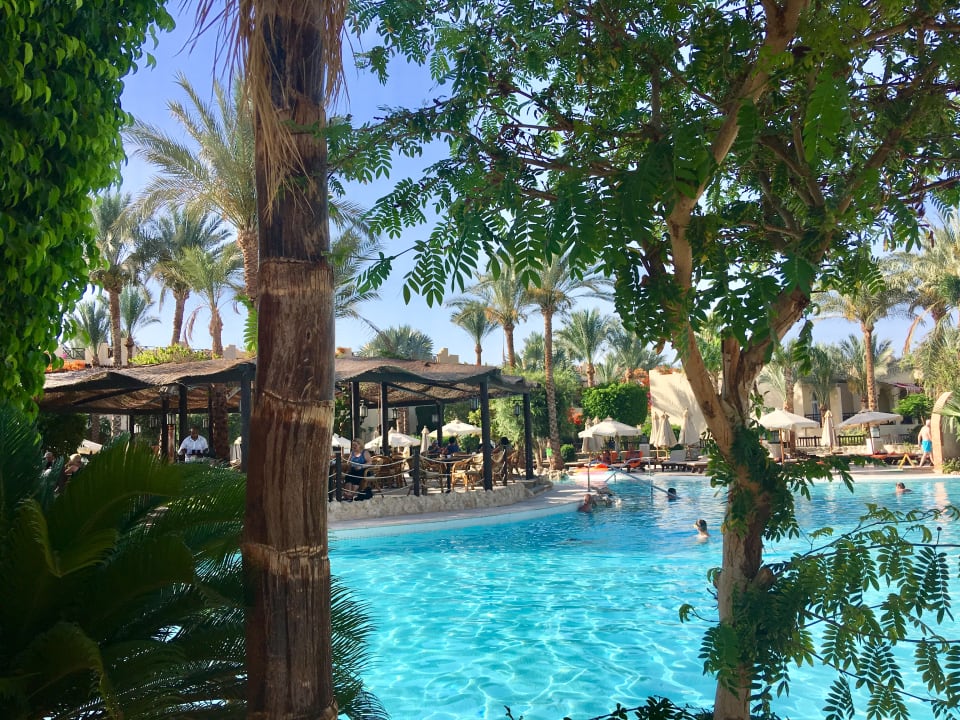 Pool The Grand Hotel Sharm El Sheikh