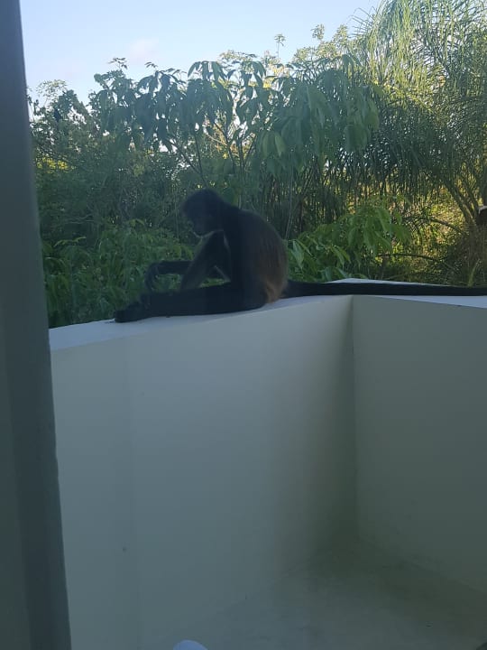 Ausblick BlueBay Grand Esmeralda