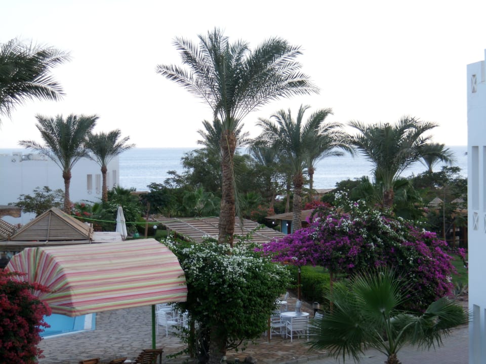 Blick vom Balkon Happy Life Village