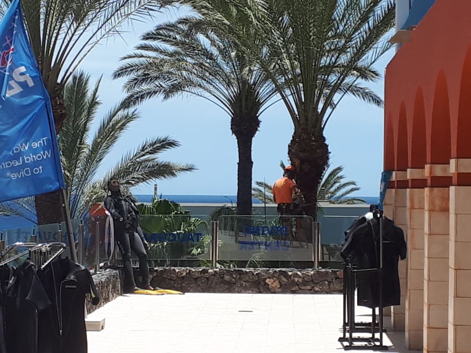 Sonstiges R2 Pajara Beach