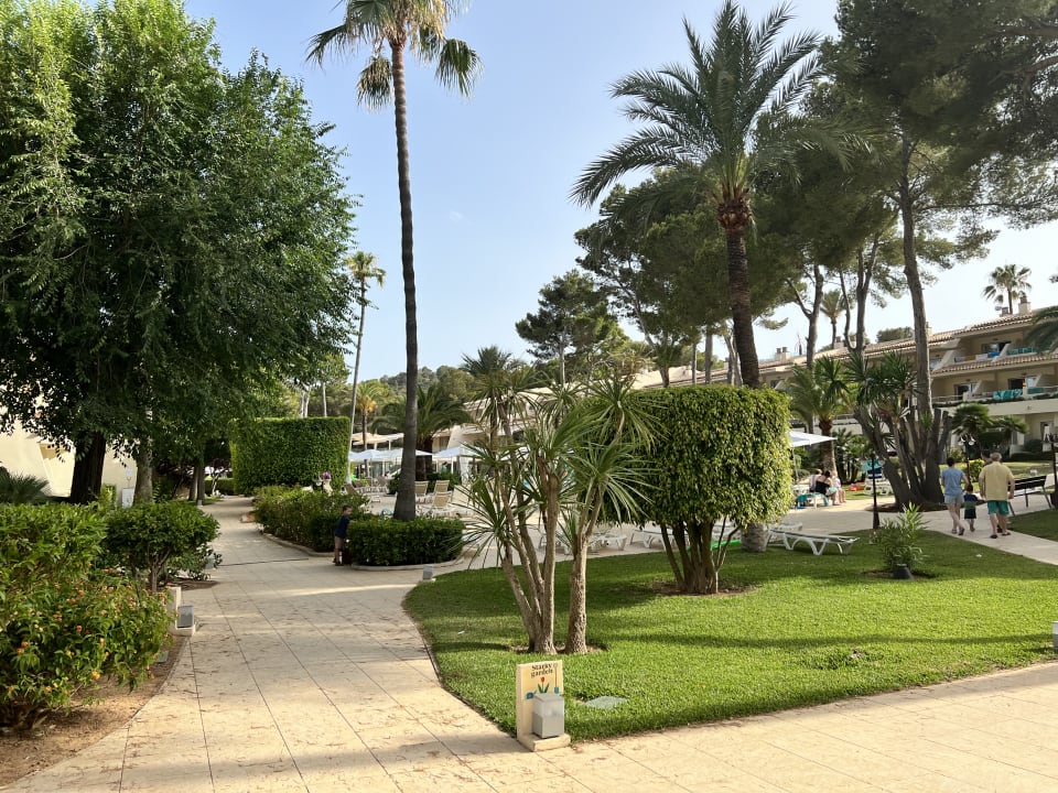 Gartenanlage Iberostar Waves Pinos Park