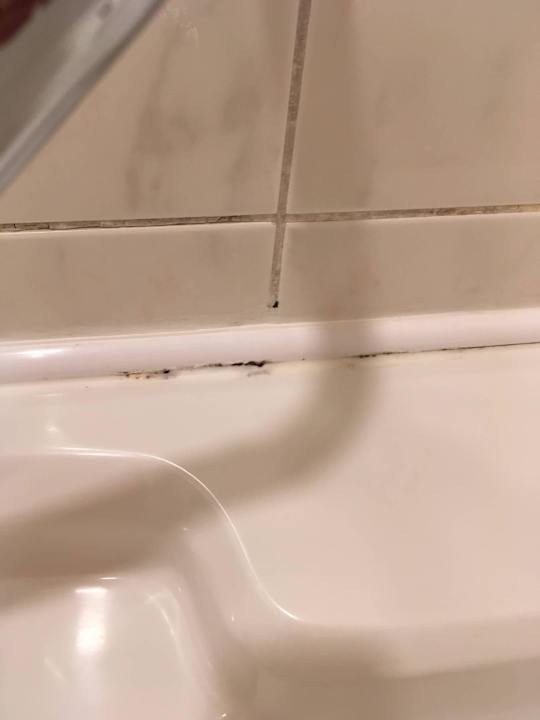 Schimmel in den Fugen Hotel Royal Galerie