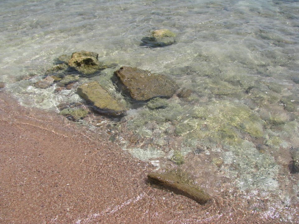 Plaza Palmyra Amar El Zaman Aqua Park