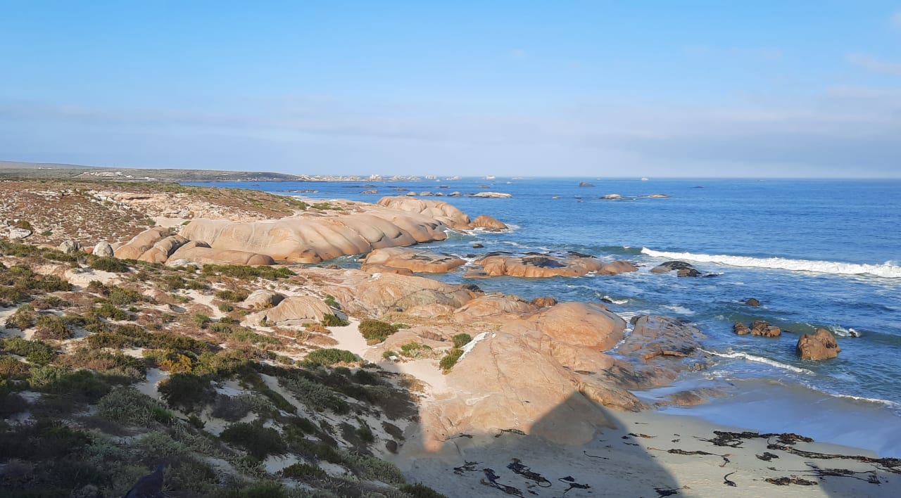 Ausblick The Ostercatchers Haven