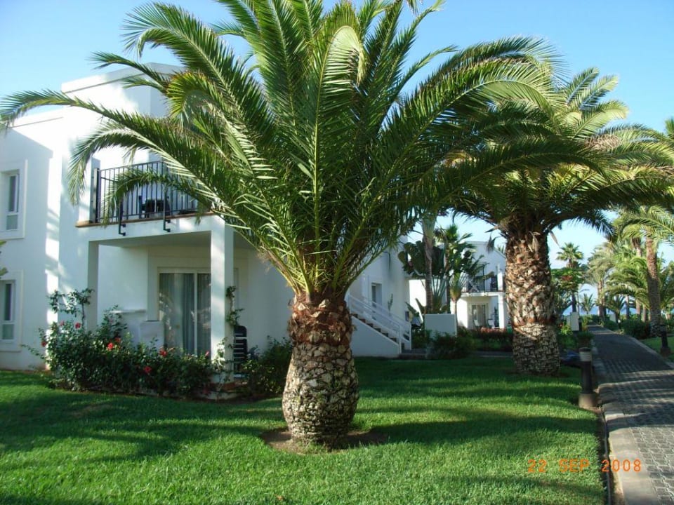 Gartenanlage Hotel Riu Palace Meloneras