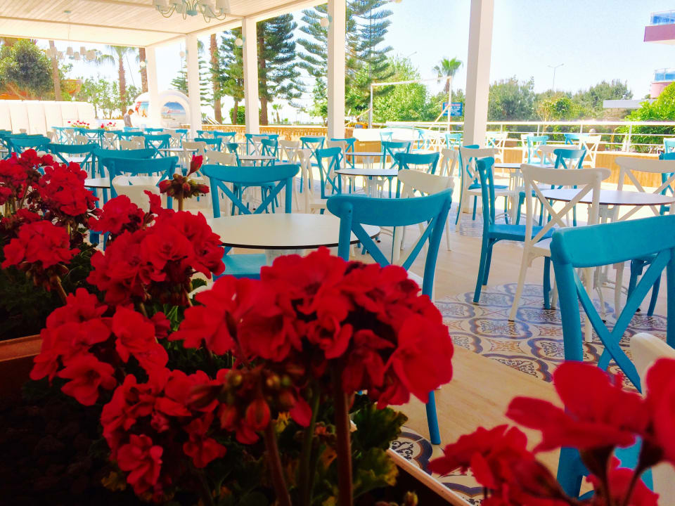 Gastro Prestige Alanya