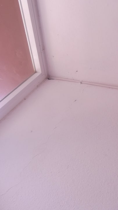 Decke Apartments Del Rey