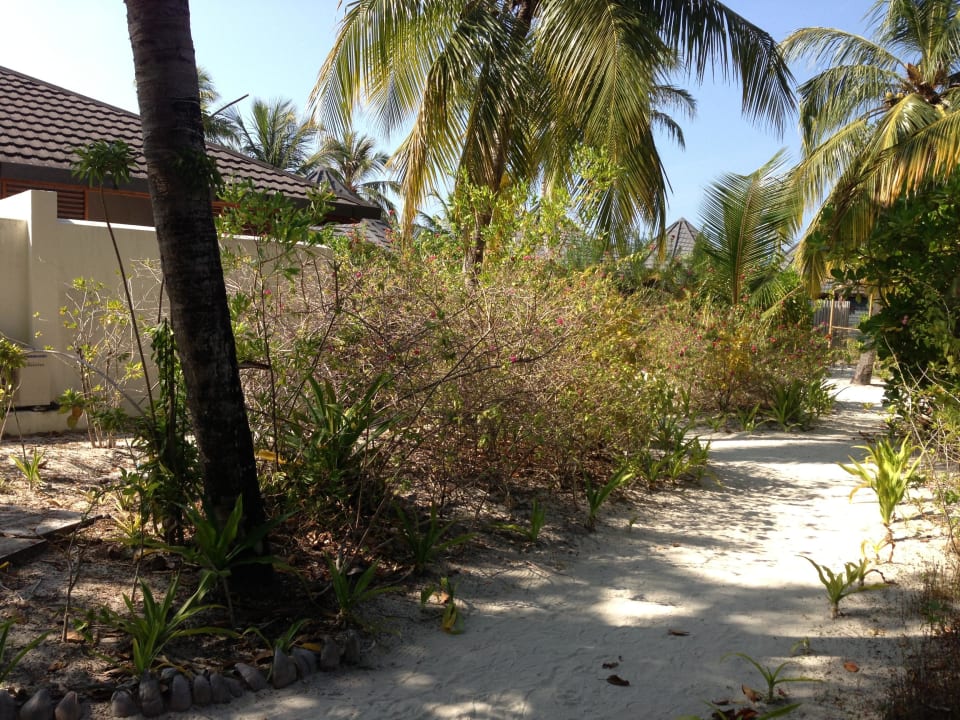 Alles ausgetrocknet Kuredu Island Resort & Spa