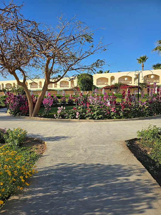 Gartenanlage Brayka Bay Resort