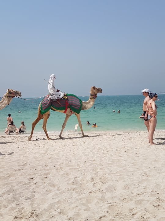 Strand Hilton Dubai Jumeirah