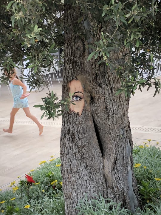 Gartenanlage Atlantica Plimmiri