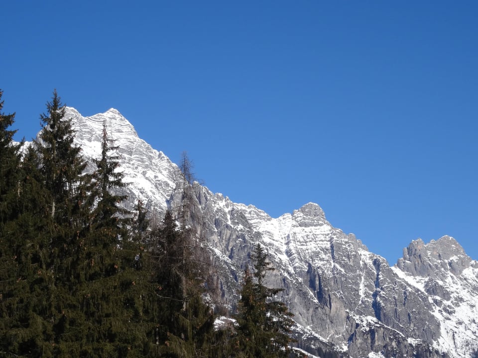 Ausblick  Holzhotel Forsthofalm