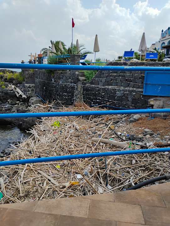 Gartenanlage Hotel Kalos