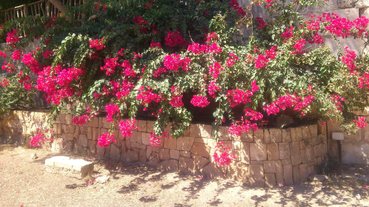 Schöne Natur Bei Juan Playa Blanca