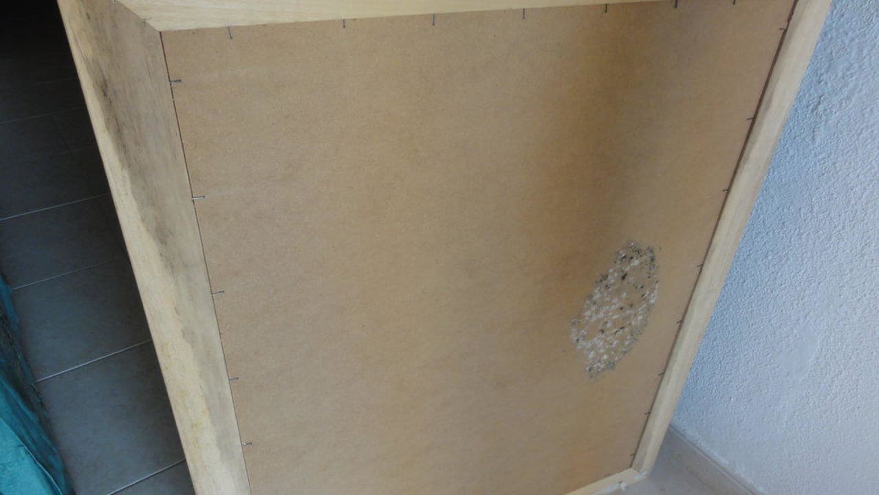 Schimmel Princess Inspire Tenerife