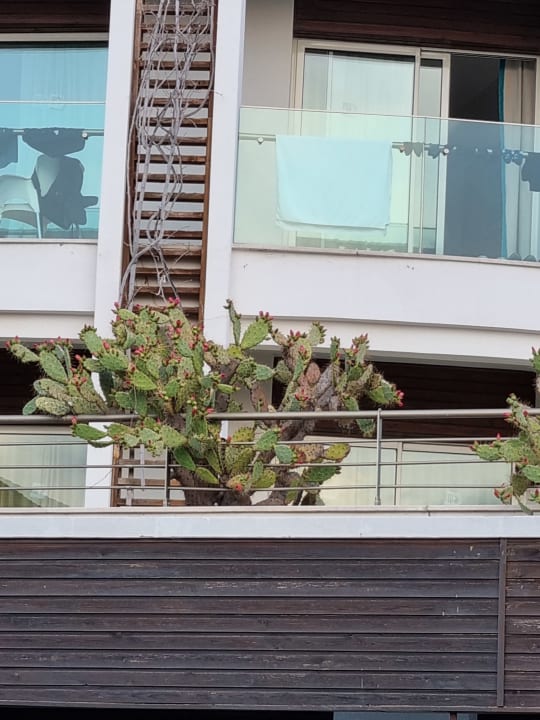 Garten Sunis Evren Beach Resort Hotel & Spa