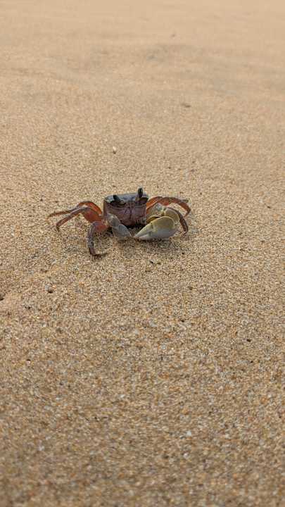Strand Khao Lak Merlin Resort