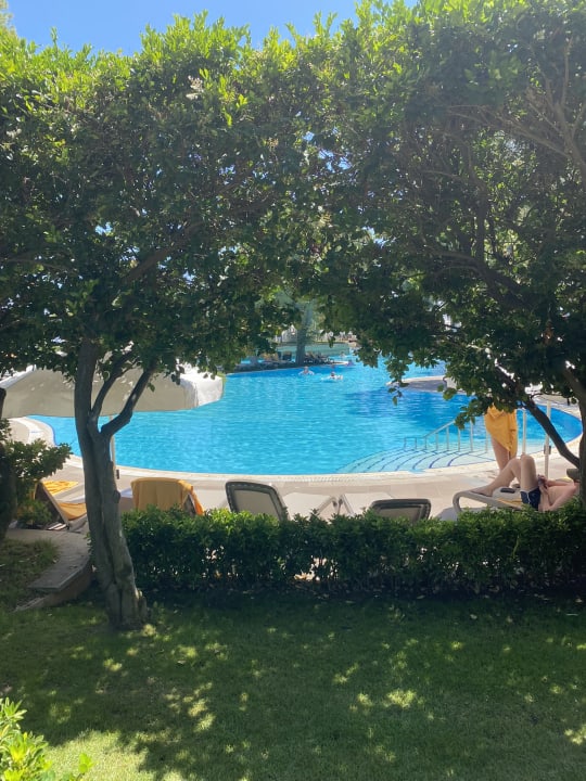 Pool Papillon Ayscha