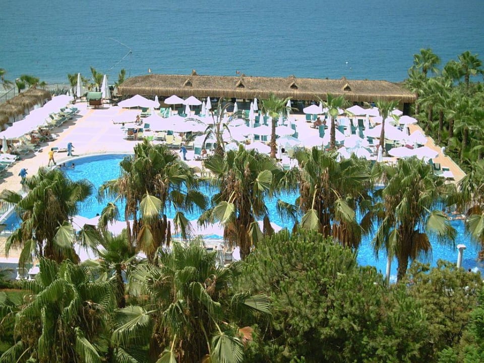 Neuer Ruhepool von oben Botanik Hotel & Resort