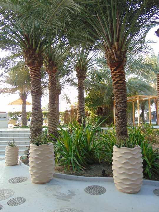 Gartenanlage The Art Hotel & Resort