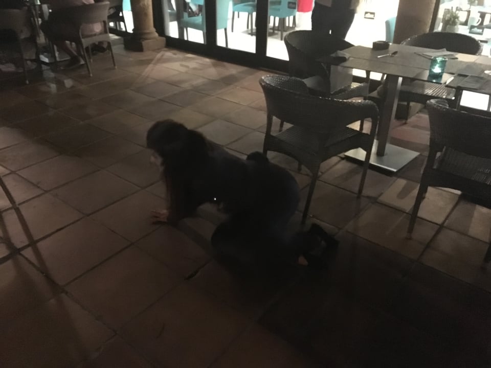 Sport & Freizeit R2 Lago Playa Park