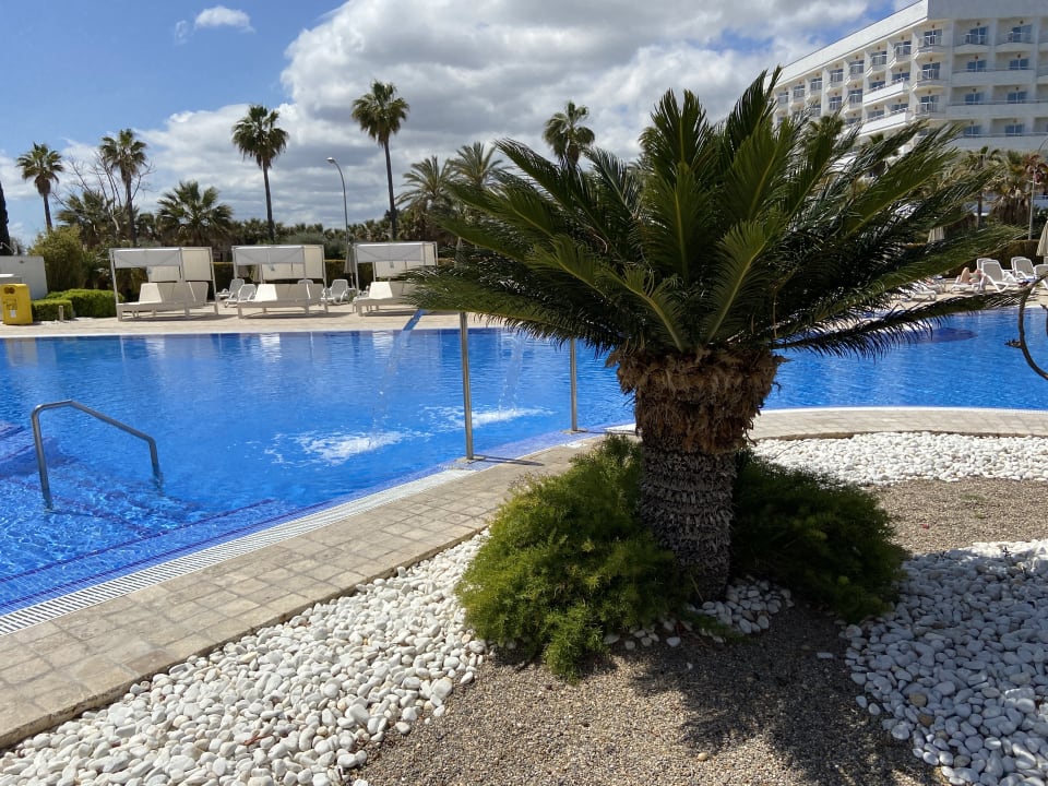 Pool Hipotels Cala Millor Park