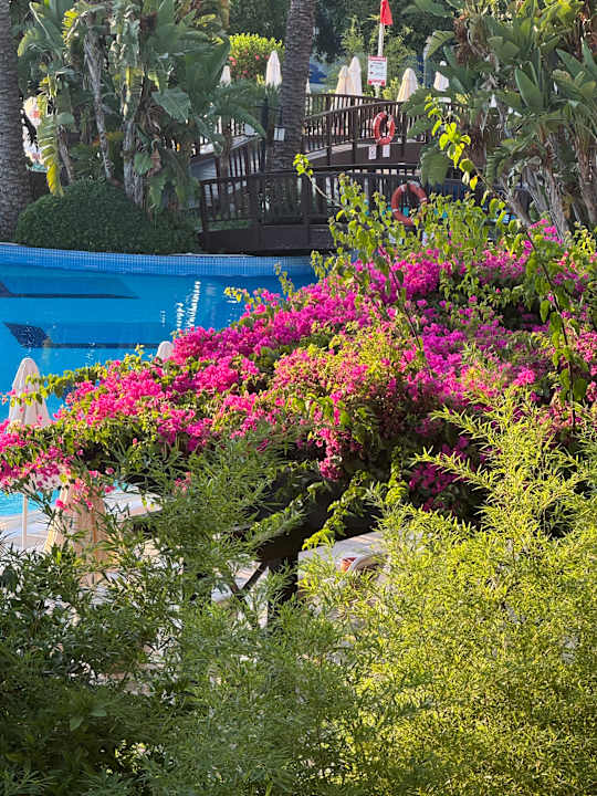 Gartenanlage Sunis Kumköy Beach Resort Hotel & Spa