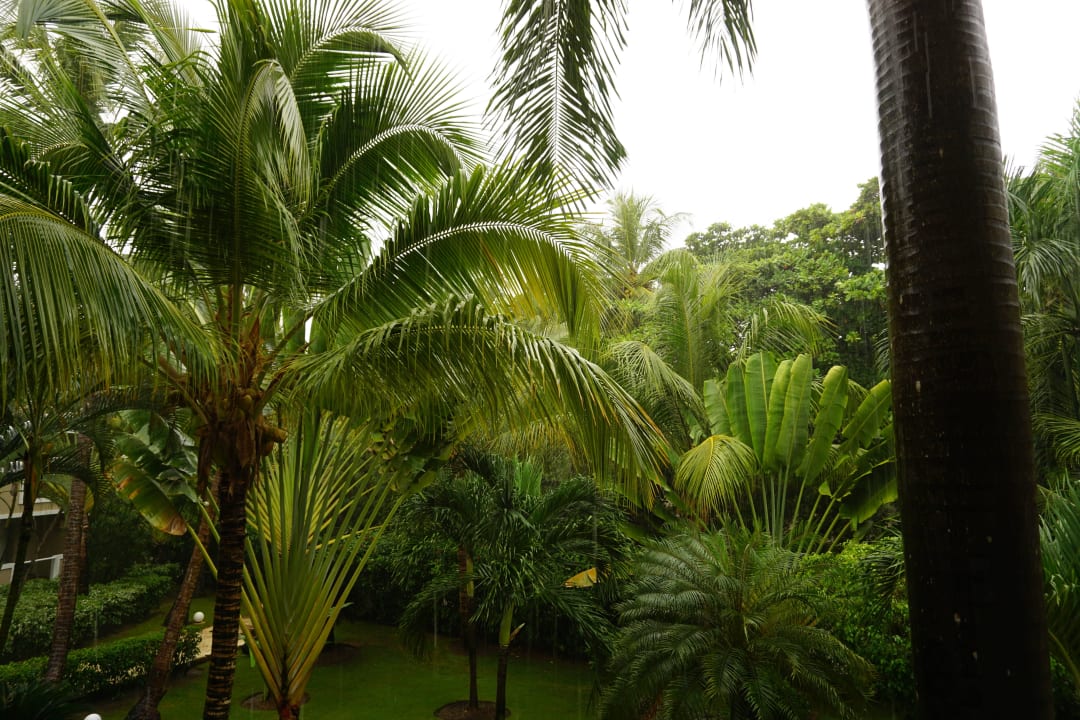 Zimmerausblick bei Regen Jewel Palm Beach