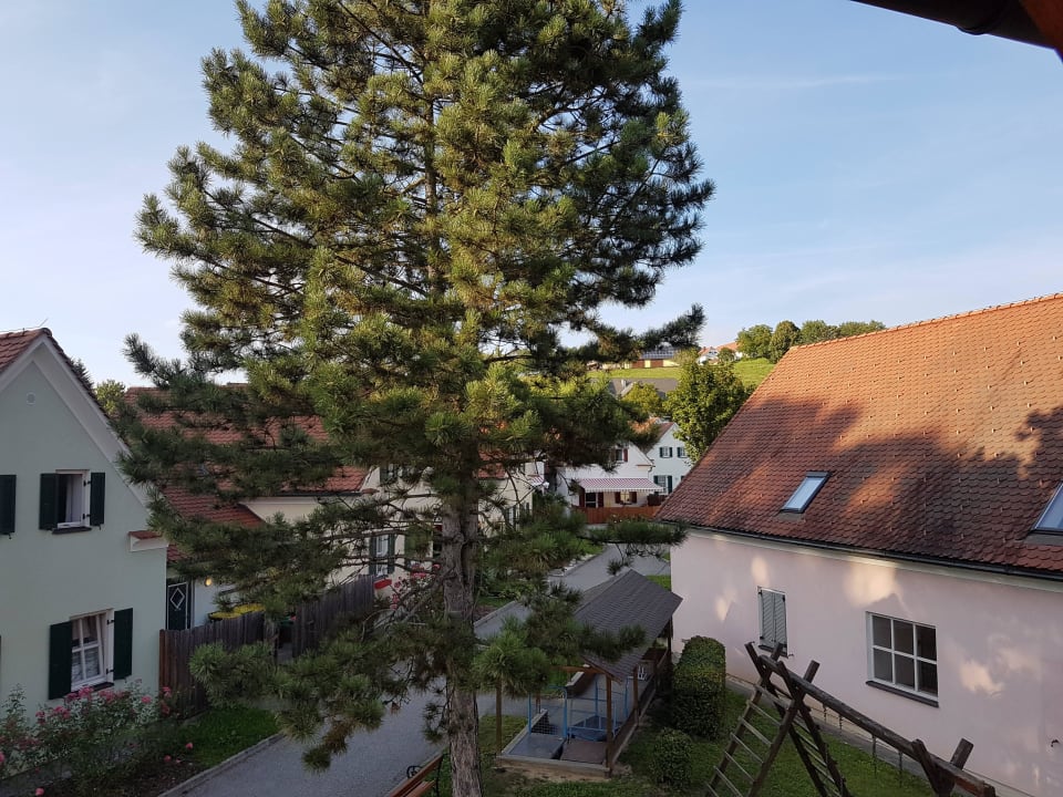 Tolle Ruhelage Wilfinger Bio Thermen Hotel