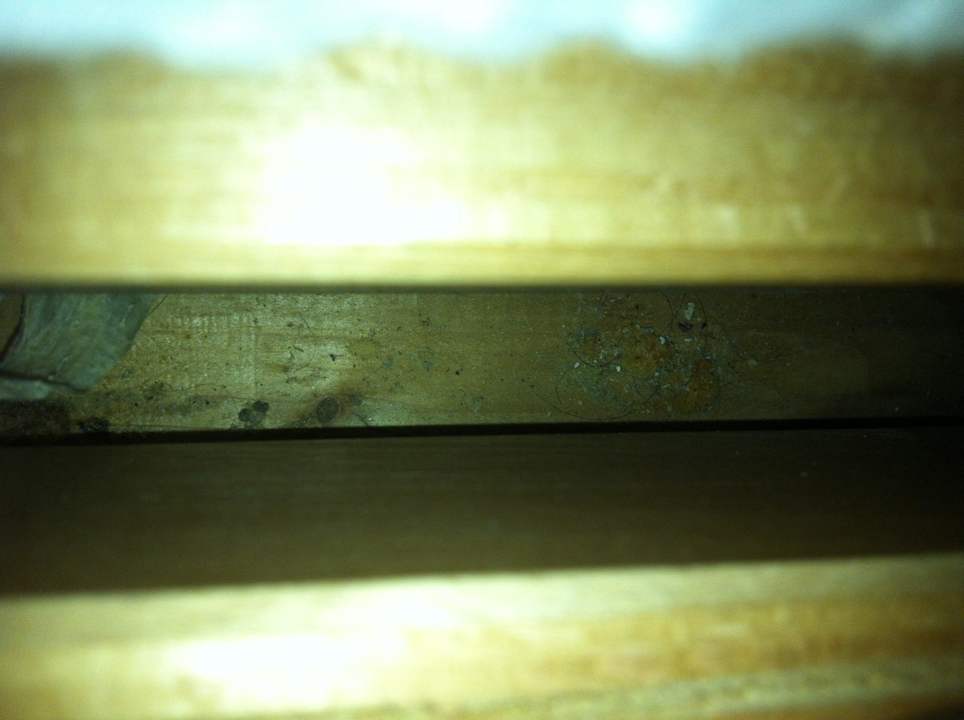 Dreck in der Bettritze Gästehaus Atzgersdorf