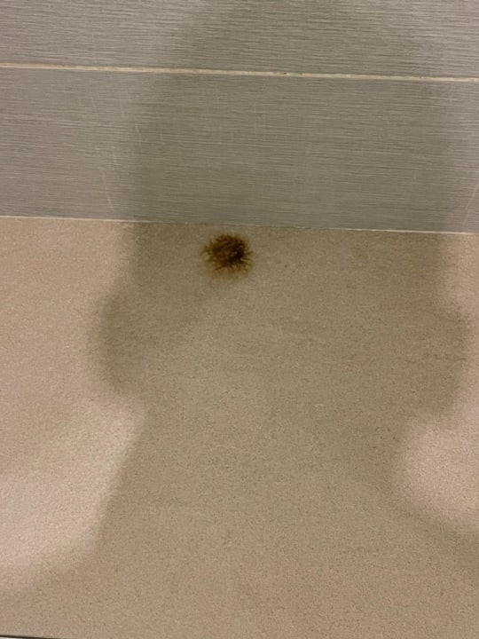 Zimmer Hotel Riu Republica - Adults only