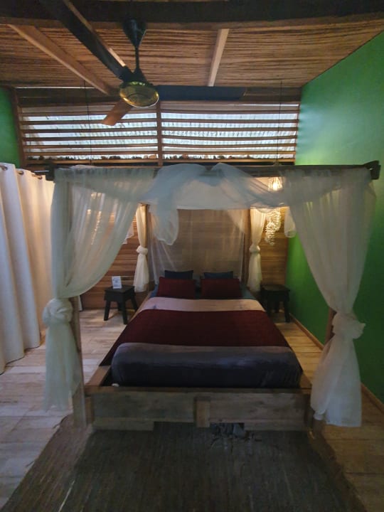 Zimmer La Shamana - Ecological Concept in Jungle