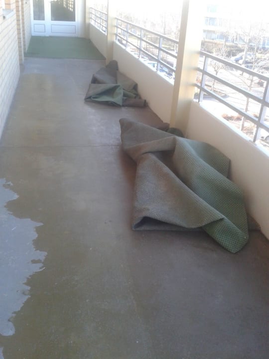 So sah es vor unserem Eingang aus Ferienwohnungen Ferienpark Weissenhäuser Strand